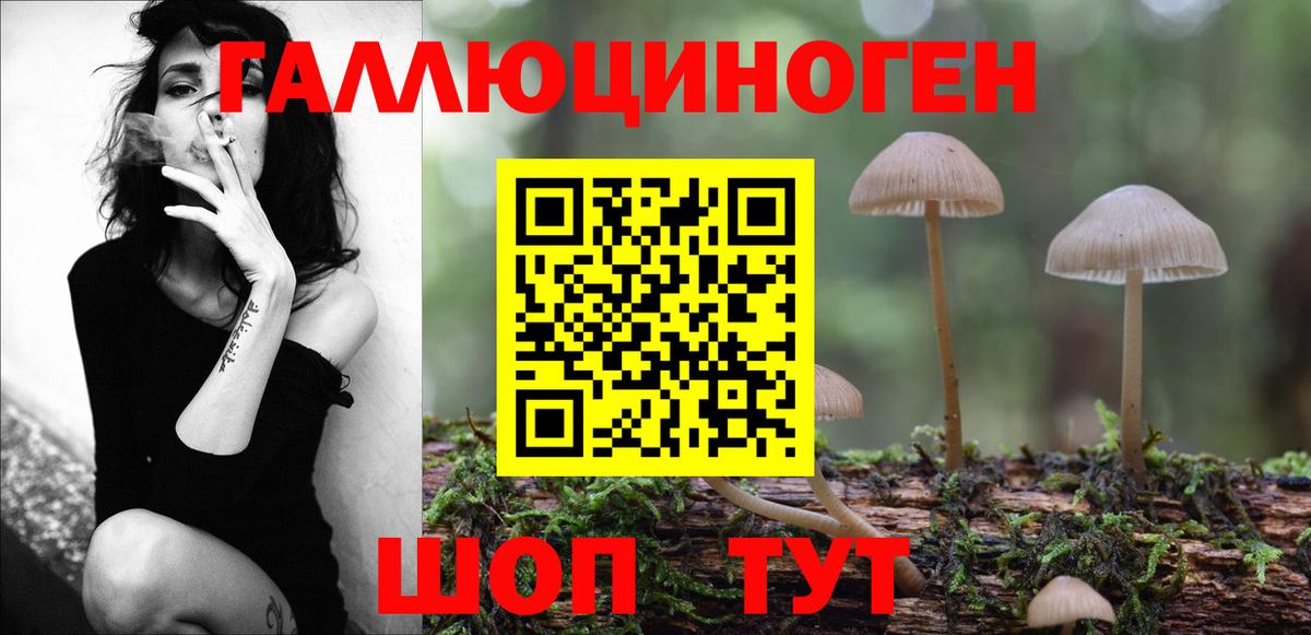 Галлюциногенные грибы Magic Shrooms  Вход с VPN  Галлюциногенные грибы Cubensis  Десногорск 